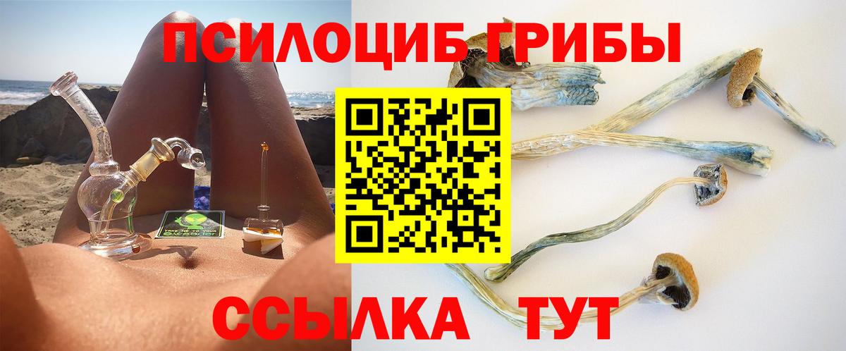 Борисоглебск  Галлюциногенные грибы Magic Shrooms  Галлюциногенные грибы Magic Shrooms  Вход с VPN 