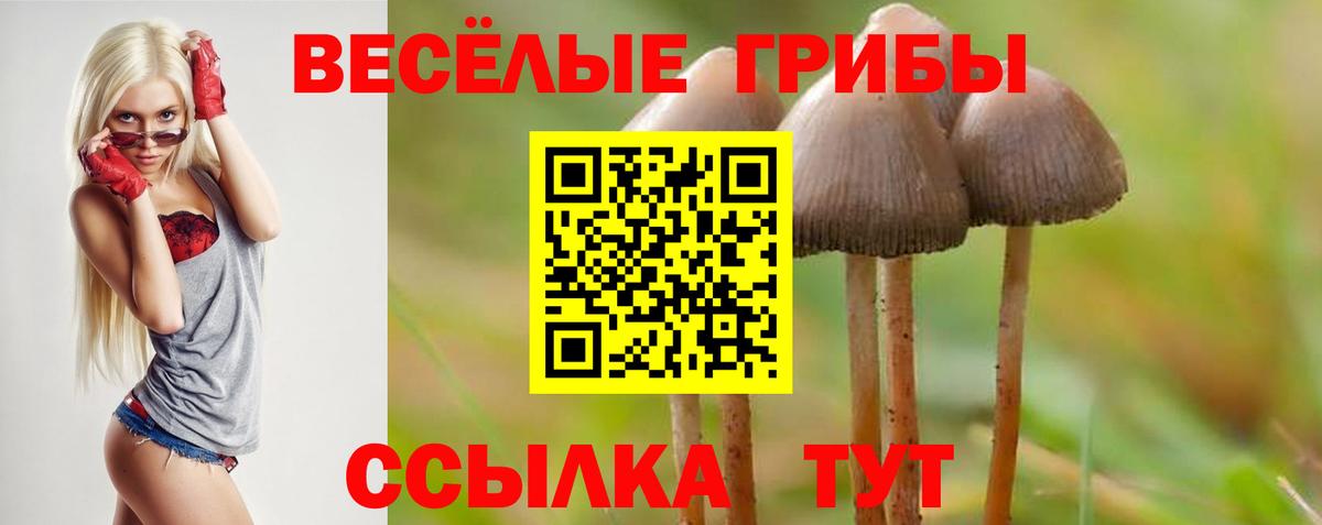 Псилоцибиновые грибы Psilocybine cubensis Борисоглебск